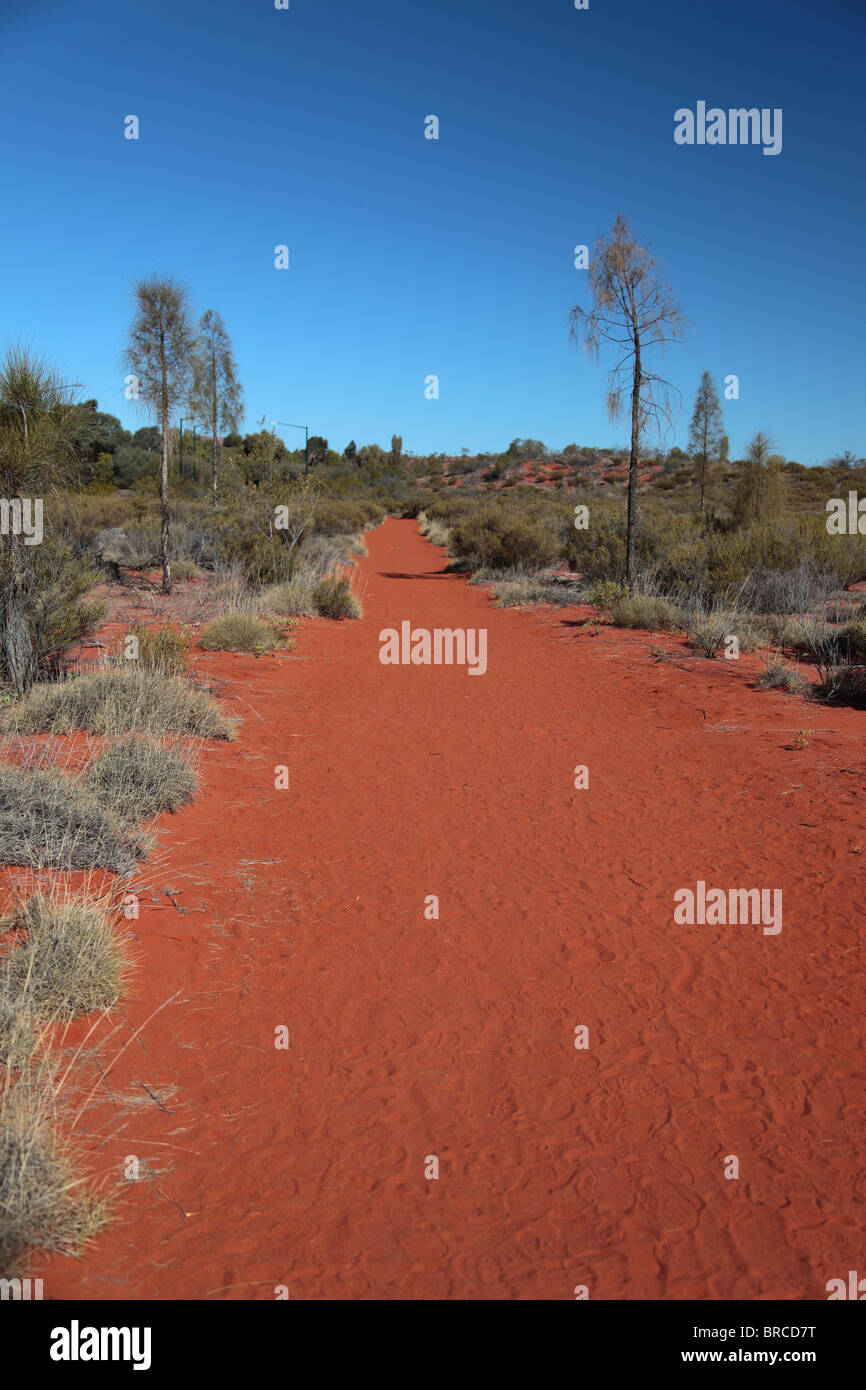 Einsamer Wanderweg durch die typischen roten Sand Wüste Zentralaustraliens. Stockfoto