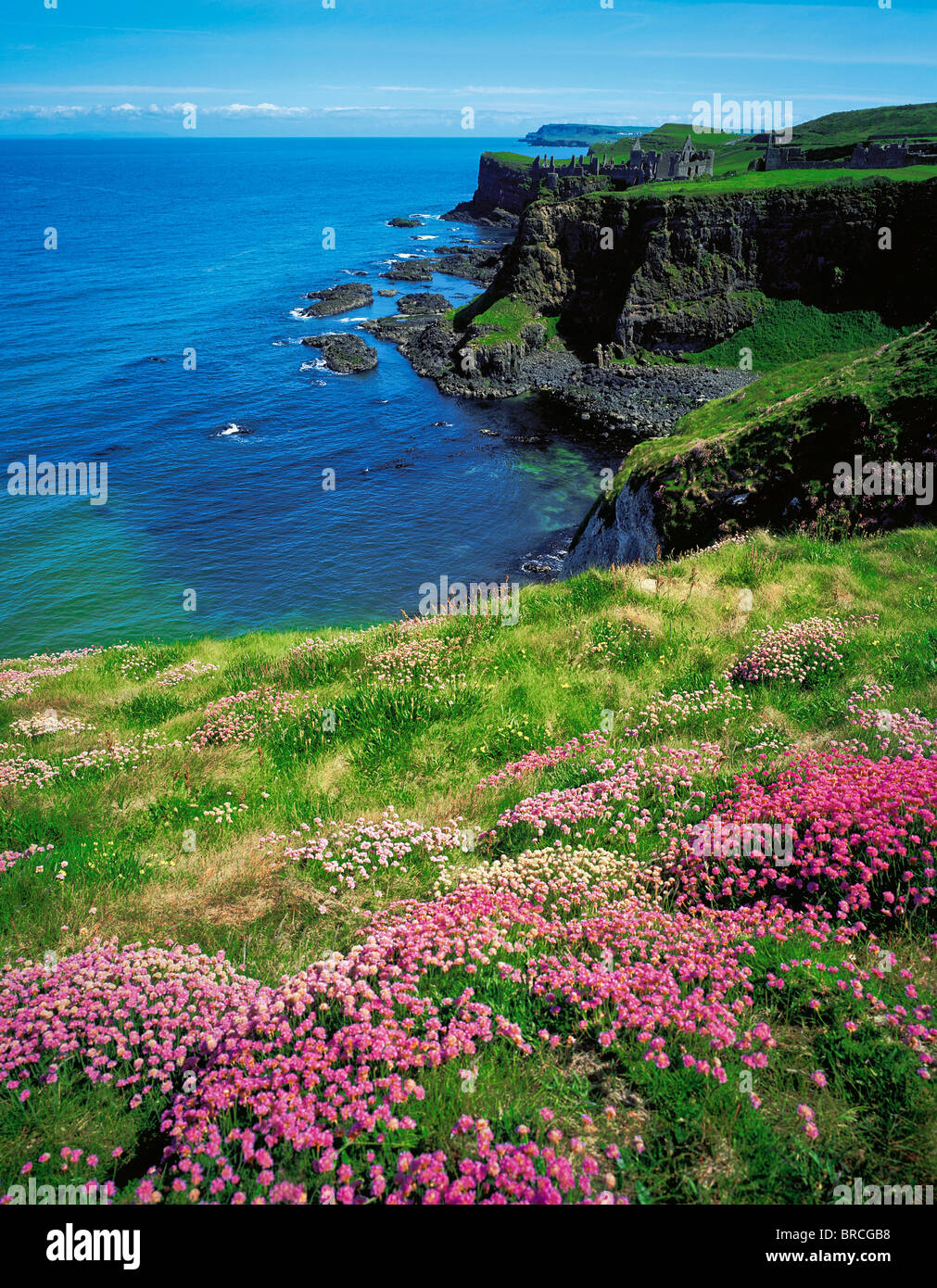 Dunluce Castle, Co. Antrim, Irland Stockfoto