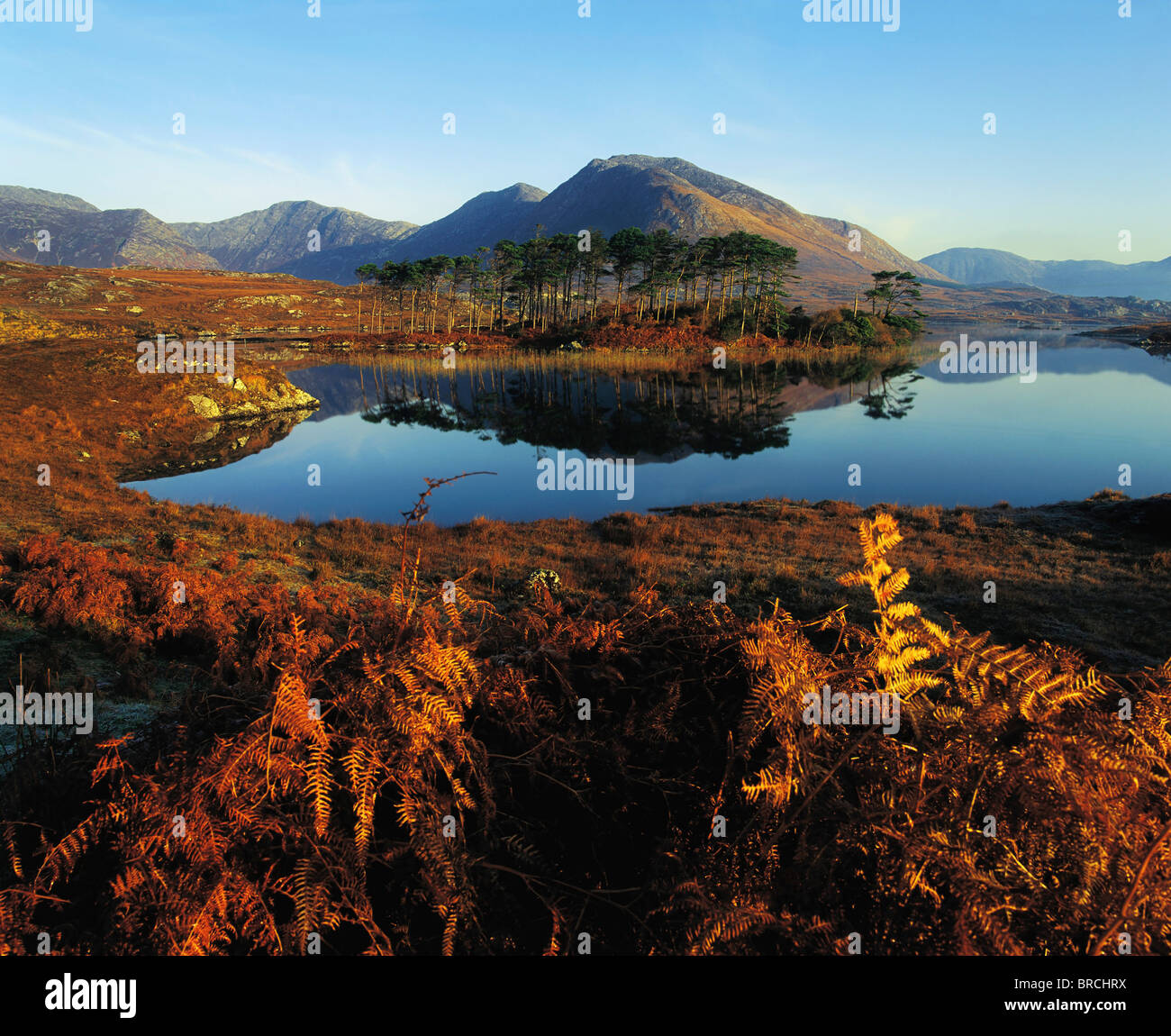 Zwölf Bens, Derryclare Lough, Connemara, Co. Galway, Irland; Irische Landschaft Stockfoto