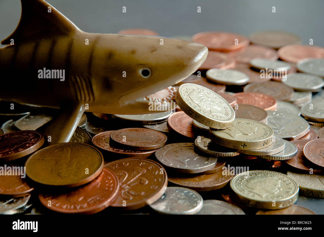 Loan Shark - UK Geld / Münzen Stockfoto