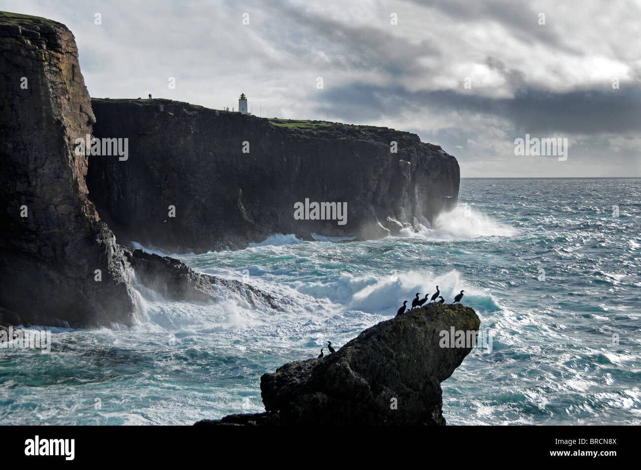 Eshaness, Shetland, Shetland-Inseln Stockfoto