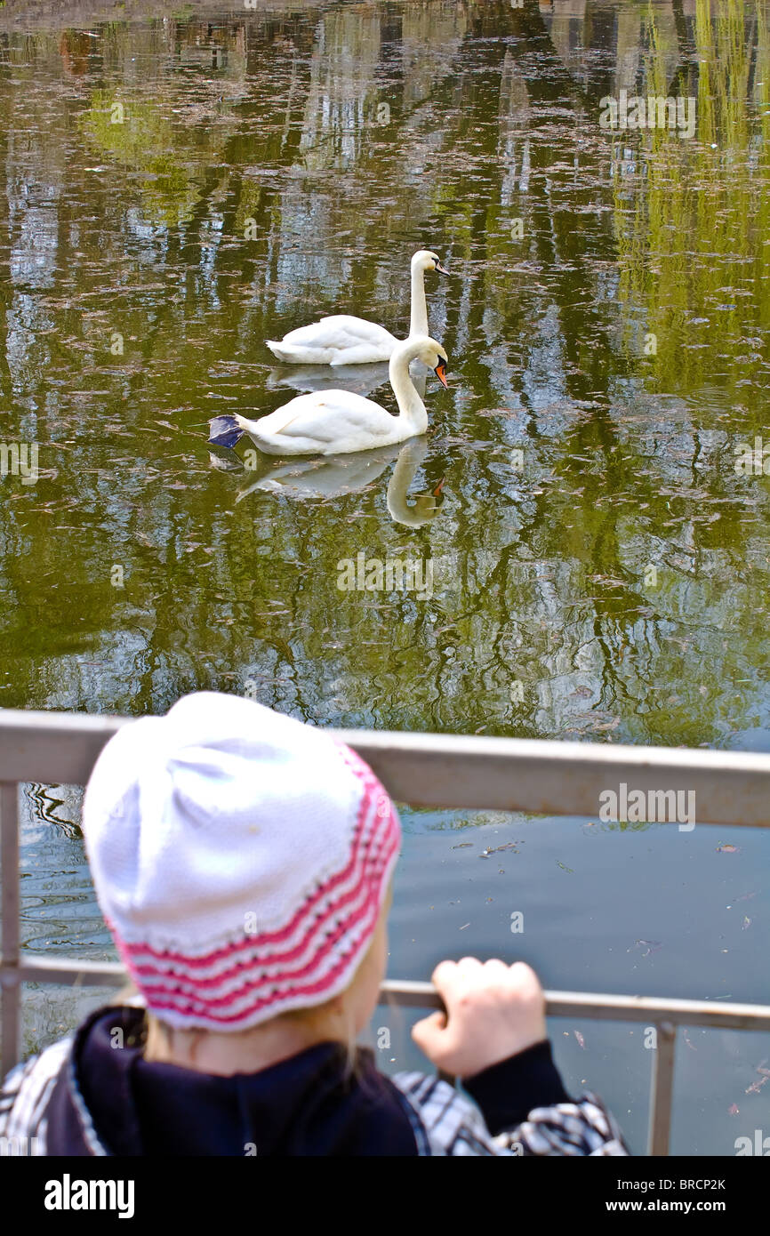Mädchen sehen auf weiße Schwäne über Teich im Frühjahr Stockfoto Mädchen sehen auf weiße Schwäne über Teich im Frühjahr Stockfoto