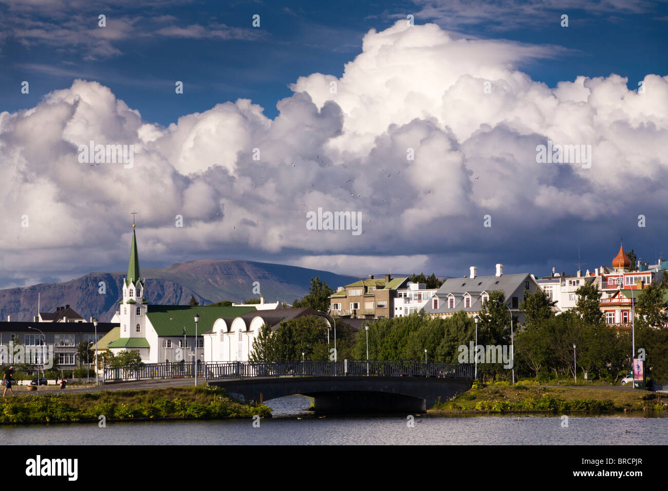 Tjörnin-Sees, Reykjavik Island. Stockfoto