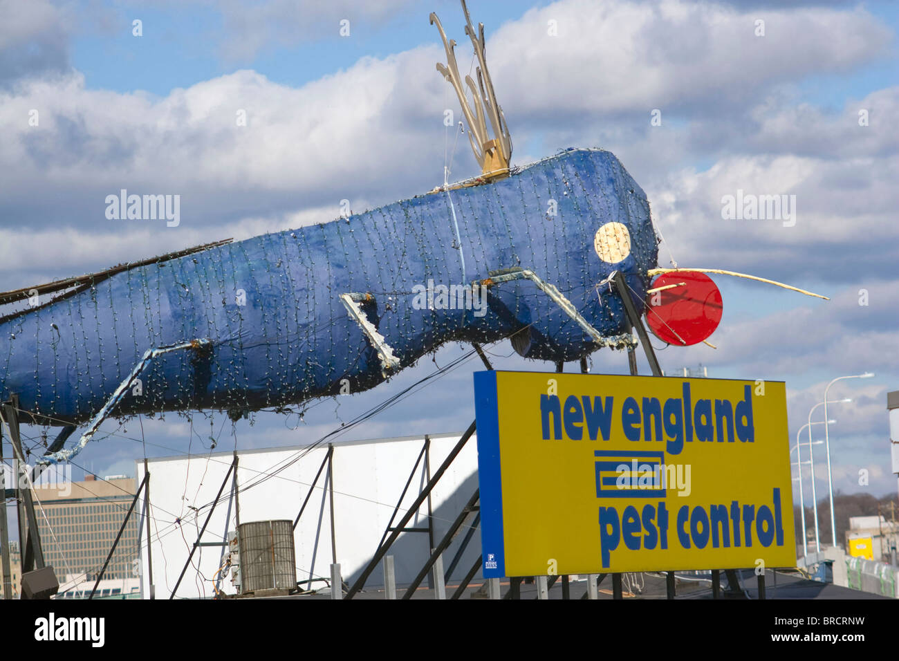 Das größte Insekt der Welt – eine riesige Skulptur aus blauen Termiten – sitzt auf einem Dach in Providence, Rhode Island und überrascht Passanten darunter. Stockfoto