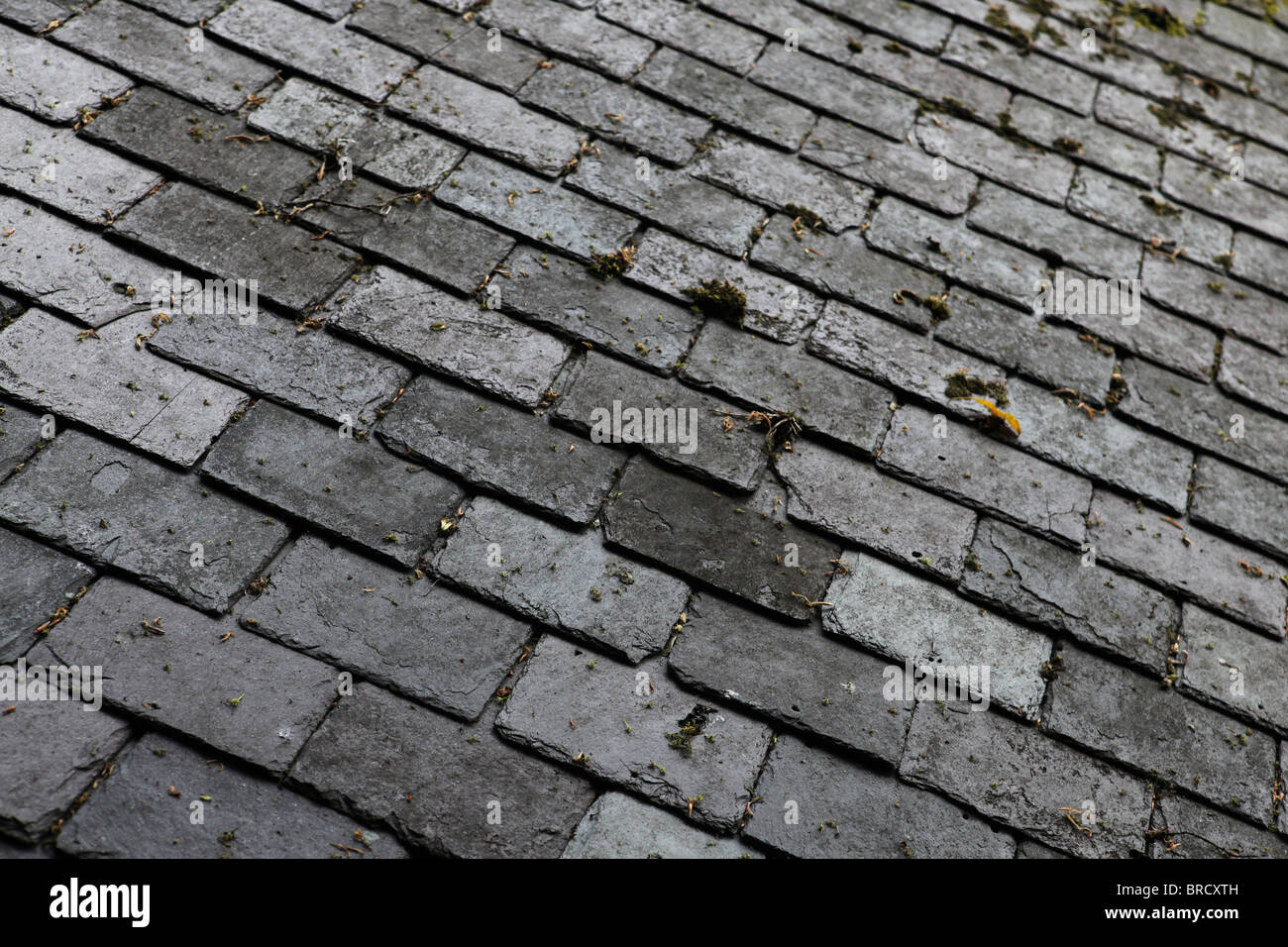 Schieferfliesen bilden das Dach eines Hauses. Stockfoto