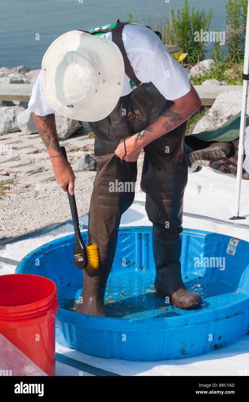 BP-Ölpest aufräumen Arbeiter in Dekontamination Verfahren. Stockfoto