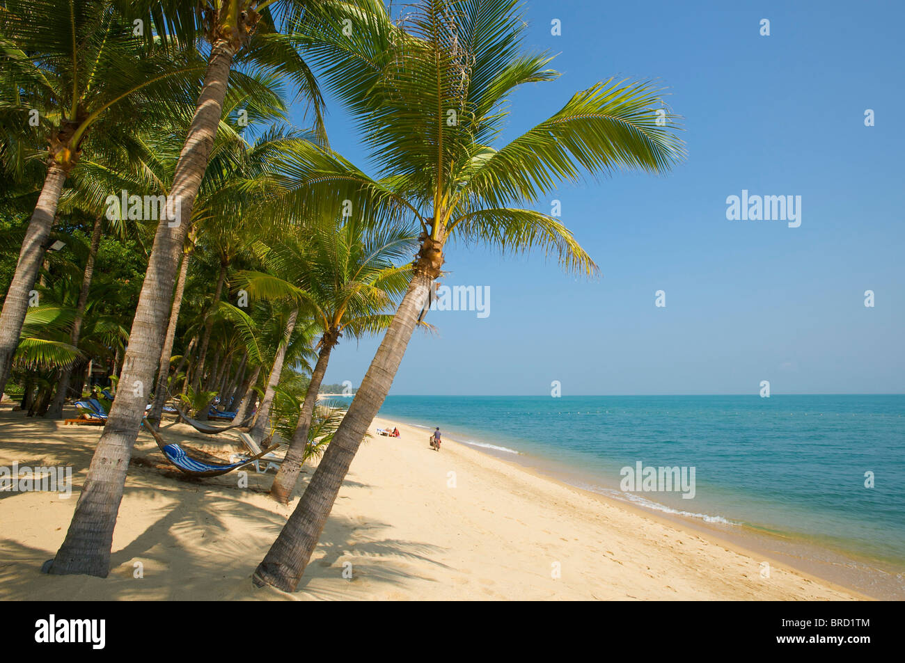 Mae Nam Beach, Ko Samui, Thailand Stockfoto