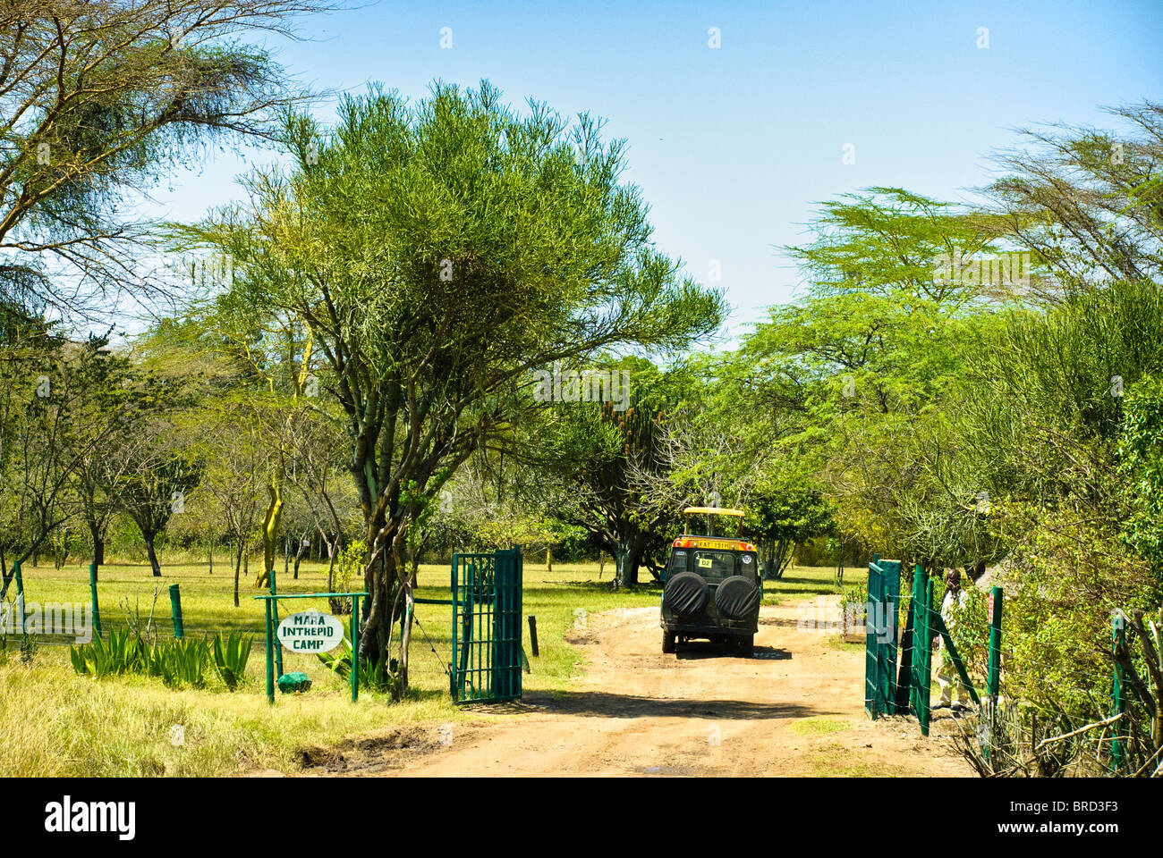 Safari-Fahrzeug das Mara Intrepids Camp in Masai Mara National Reserve, Kenia, Südafrika einreisen Stockfoto
