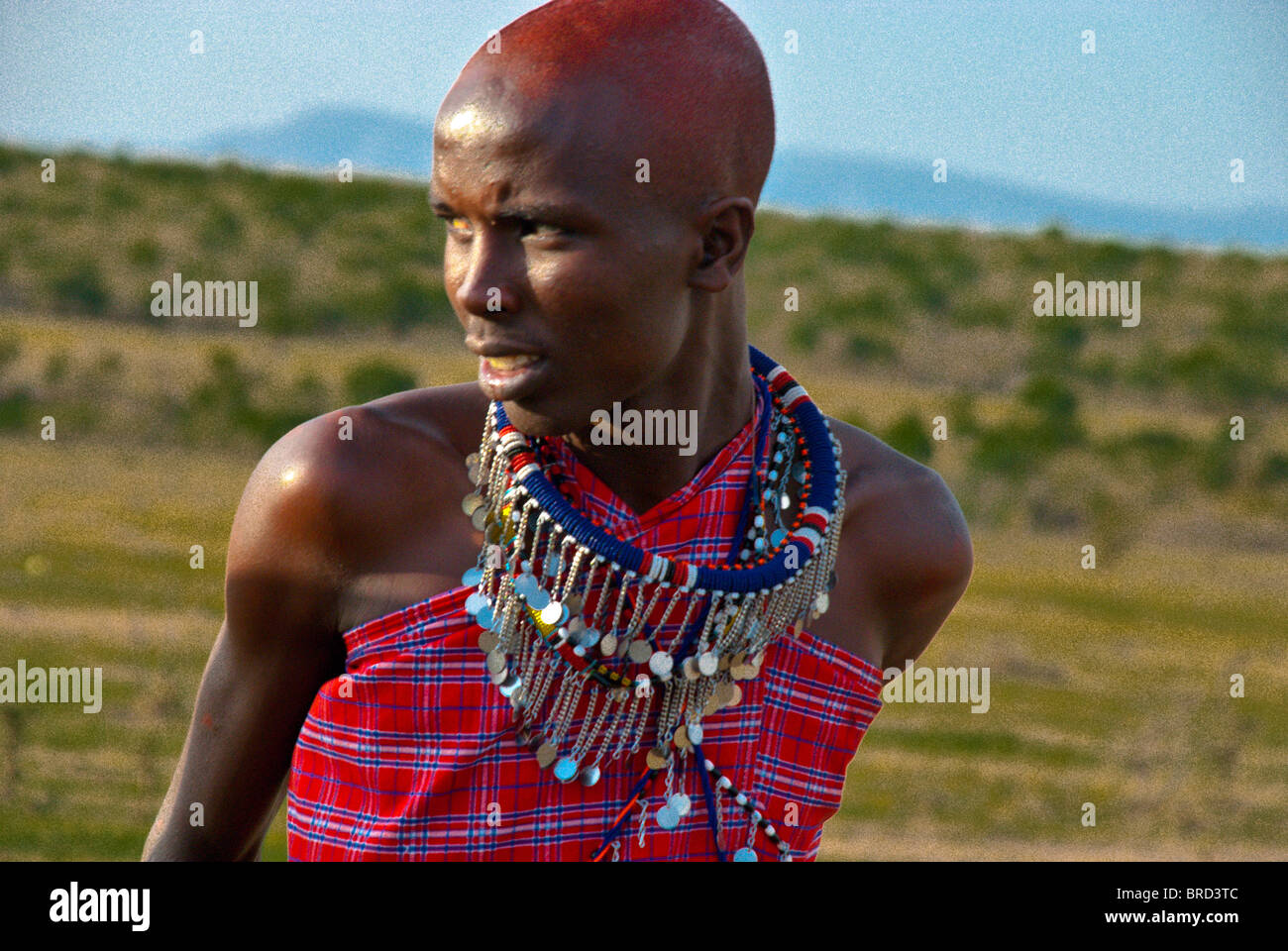 Masai Frau tragen traditionelle Kleidung, Masai Mara, Kenia, Afrika ...