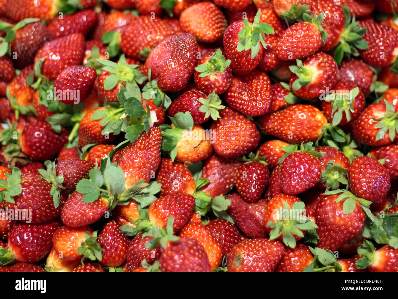 Erdbeer-Textur. Stockfoto