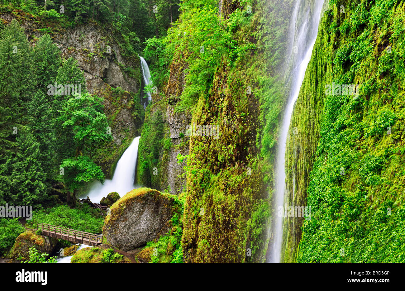 Tanner Creek Falls mit Brücke. Columbia River Gorge National Scenic Bereich, Oregon Stockfoto