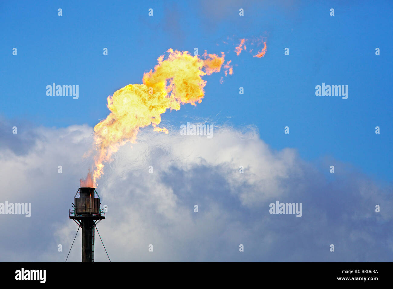 Eine Fackel Abbrennen Gas bei Exxonmobil Fife Ethylen-Anlage, Schottland Stockfoto