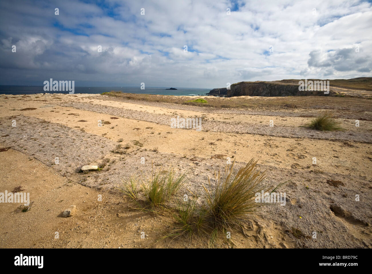 Der Kampf gegen Bodenerosion der Halbinsel Quiberon. Lutte Contre l 'Érosion des Sols De La Presqu' Île de Quiberon. Stockfoto