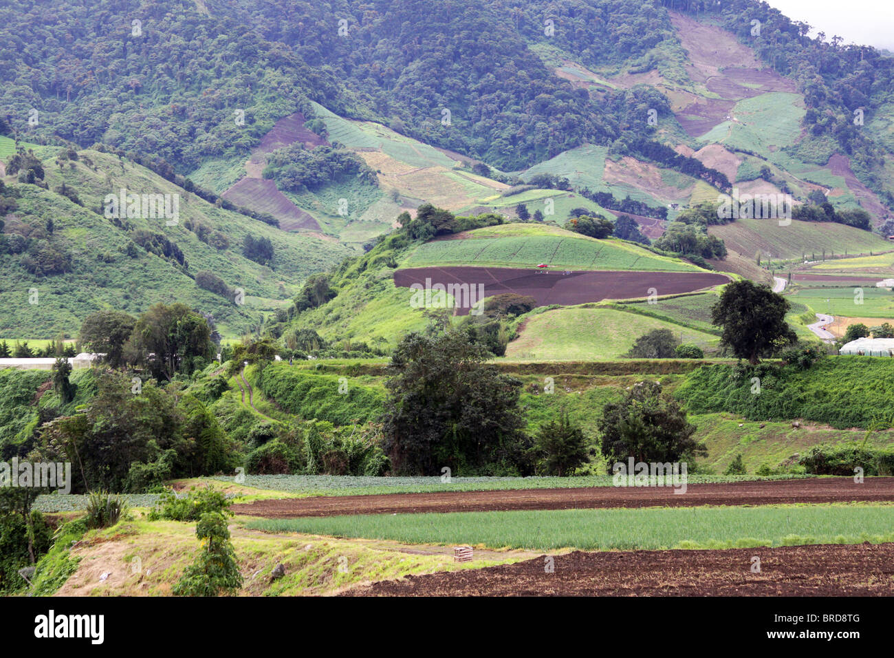 Bauernhof-Landschaft in Cerro Punta, Chiriqui, Panama Stockfoto