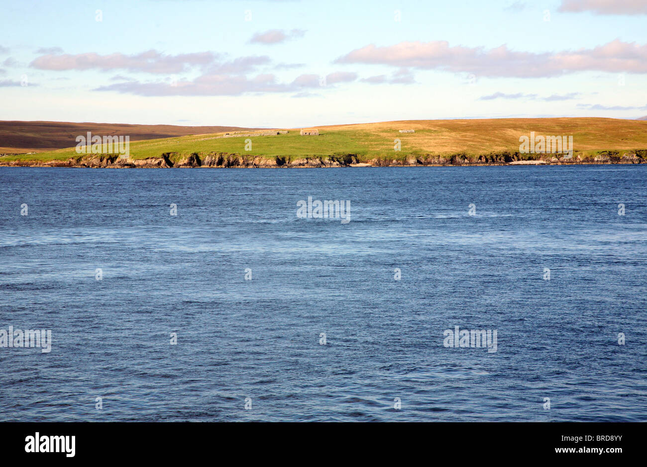 Einsame Insel Bigga, zwischen Festland und Yell, Shetland-Inseln, Schottland Stockfoto