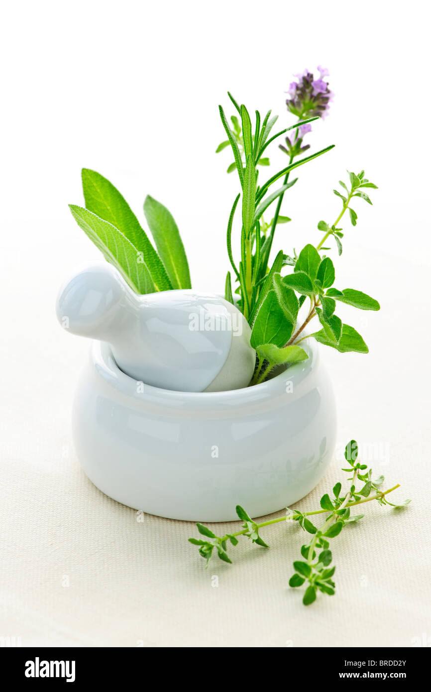 Heilkräuter in weißer Keramik Mörser und Stößel Stockfoto