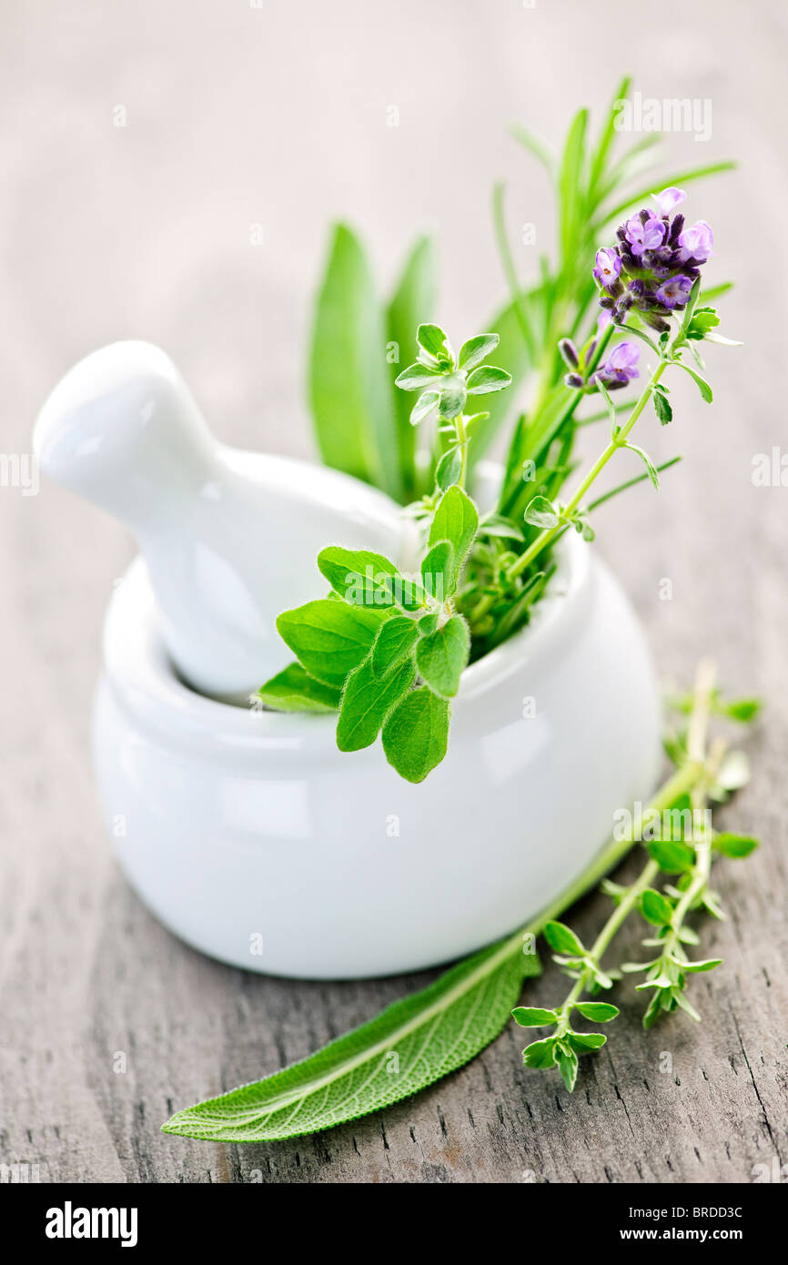 Heilkräuter in weißer Keramik Mörser und Stößel Stockfoto