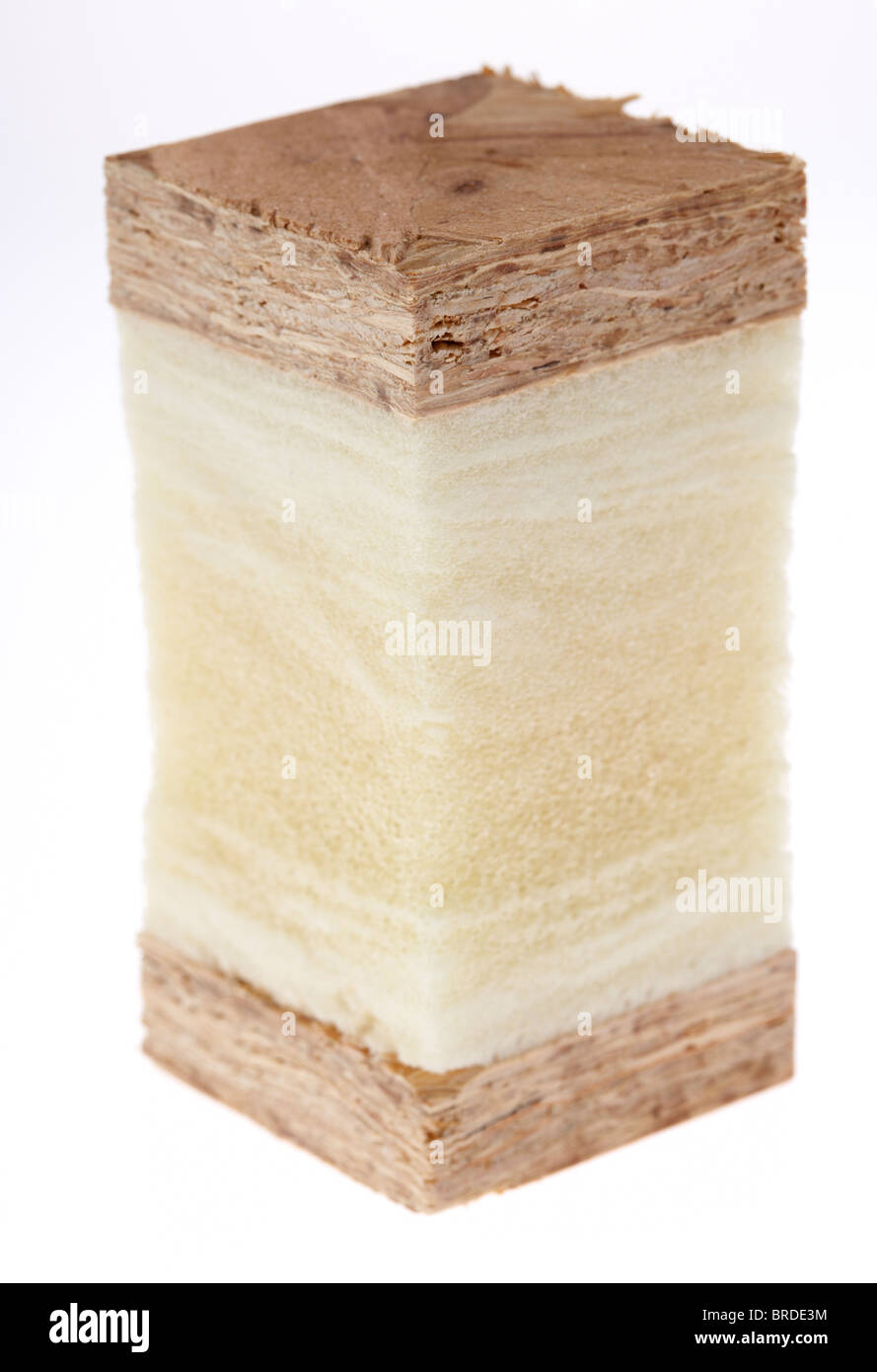 Schneiden Sie Querschnitt durch eine strukturelle isolierten Paneelen moderne isoliert Holzrahmenbau in Scheiben Stockfoto