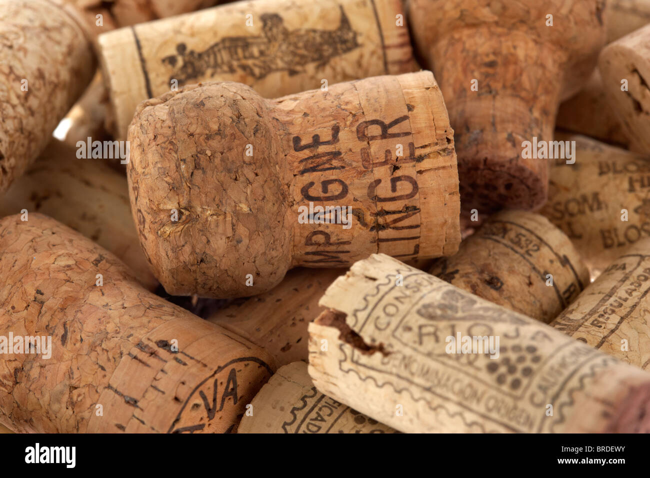 Wein- und Champagnerflaschen Flaschenkorken Stockfoto