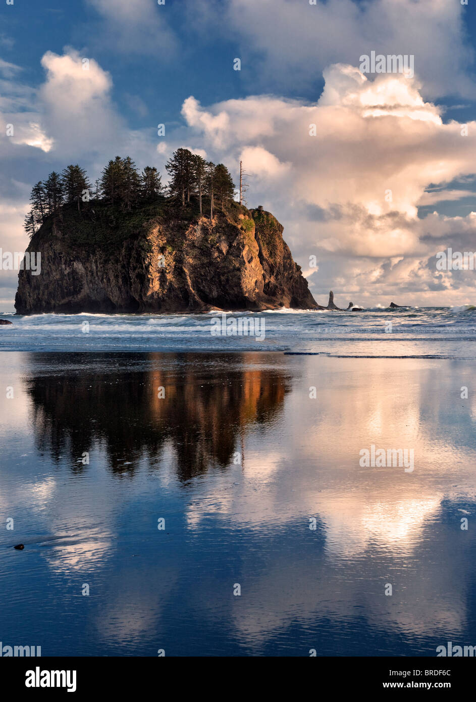Zweiten Strand mit Wolken und Reflexion bei Ebbe. Olympic Nationalpark, Washington. Stockfoto