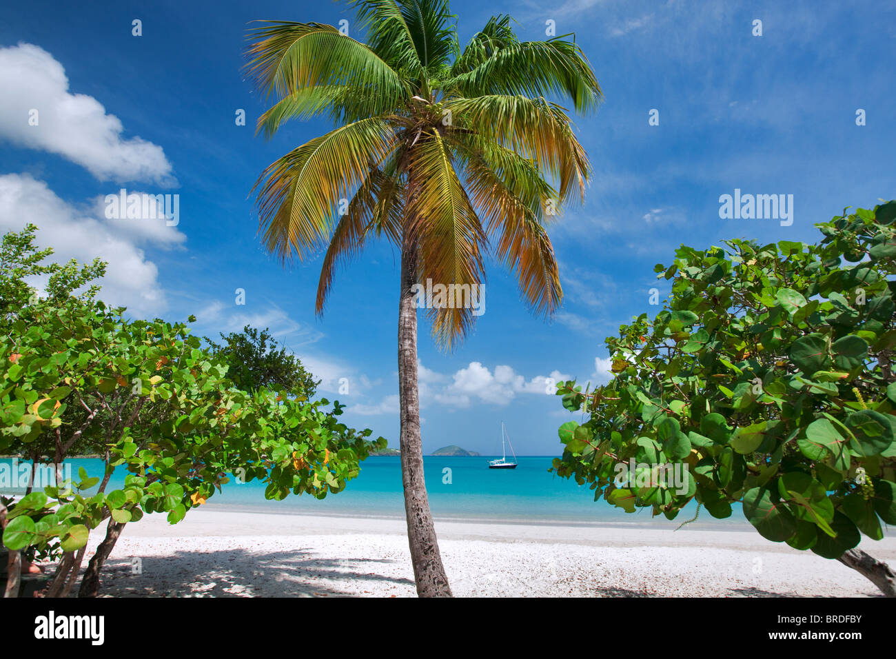 Strand von Megans Bay mit Boot und Palm-Baum. St. Thomas. Jungferninseln (US). Stockfoto