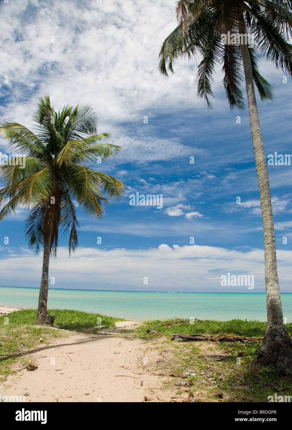 Praia do Patacho Alagoas Brasilien Stockfoto