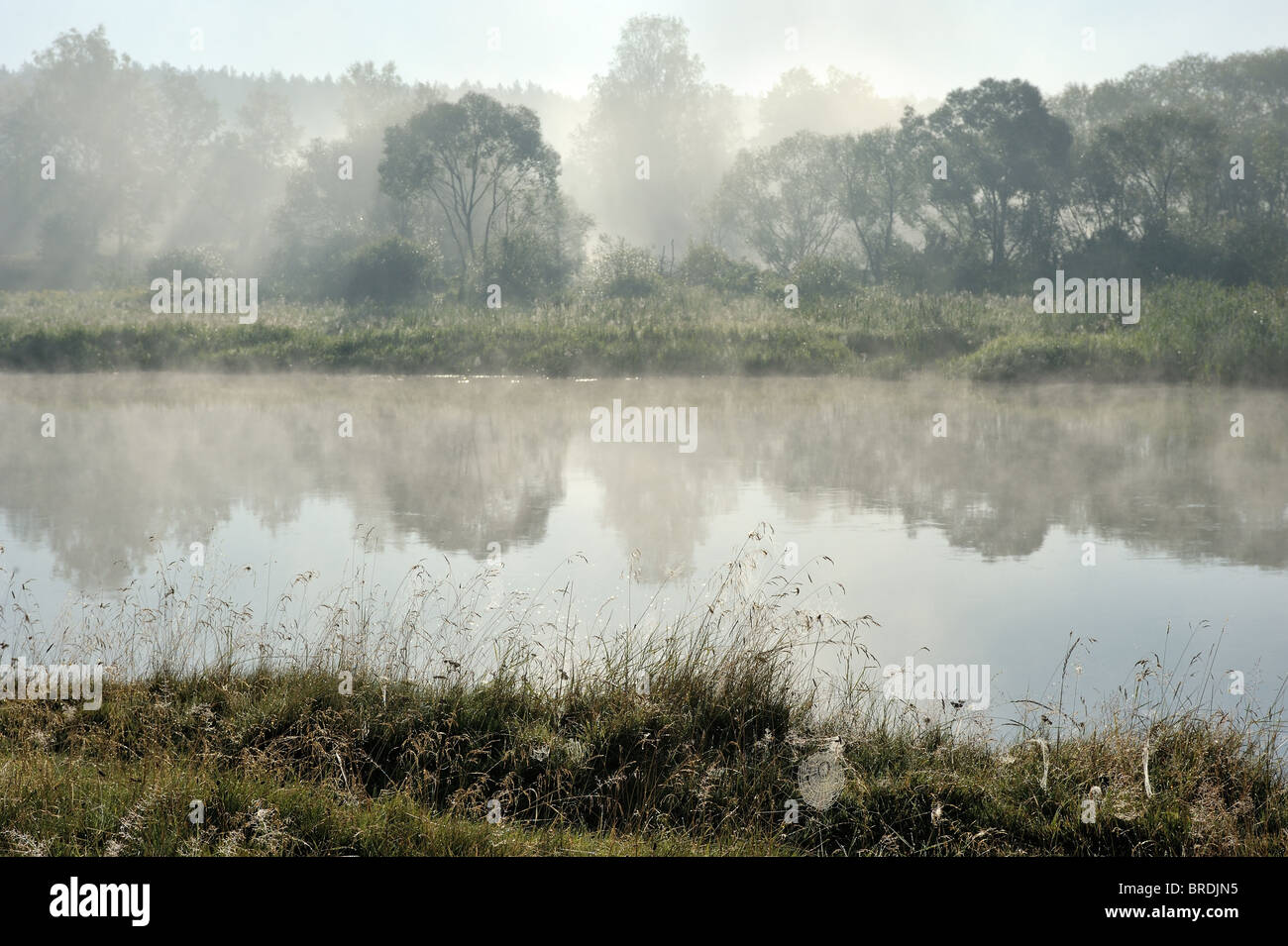 Morgen am Fluss Stockfoto