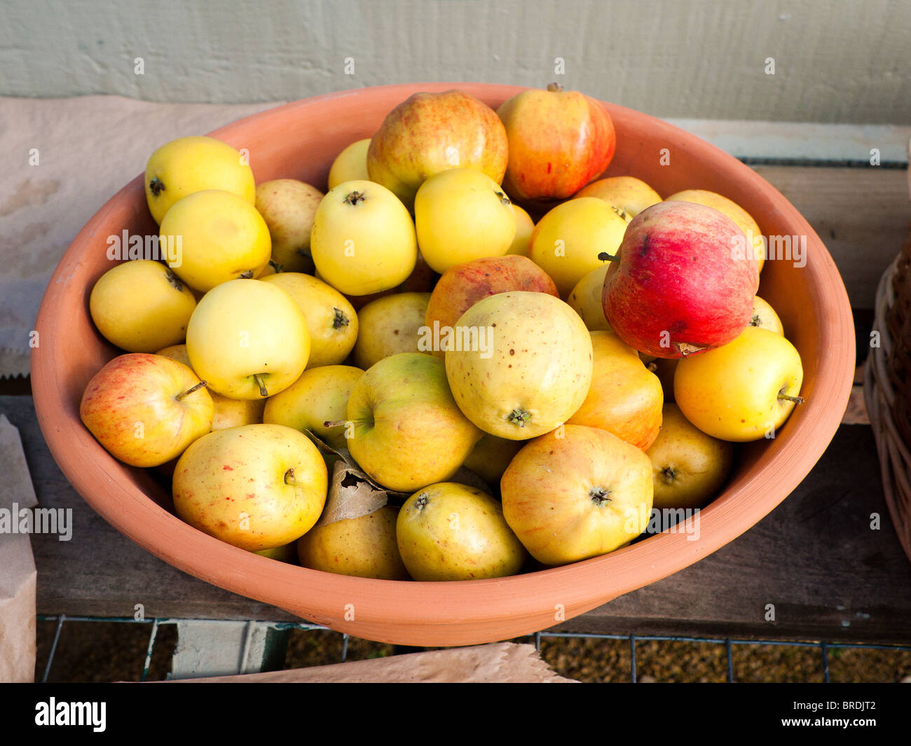 Gelbe und rote Windfall Äpfel in ein Gartencenter zu verkaufen Stockfoto