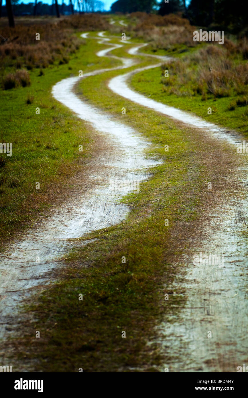 Wicklung Feldweg Stockfoto