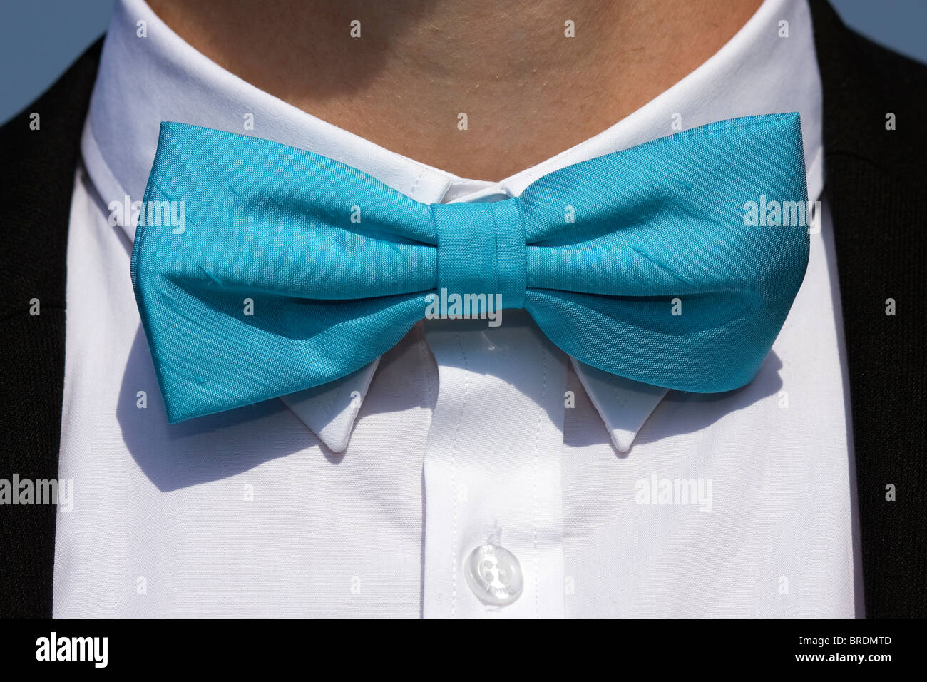 Blaue Fliege, getragen von einem Bräutigam am Tag der Hochzeit. Stockfoto