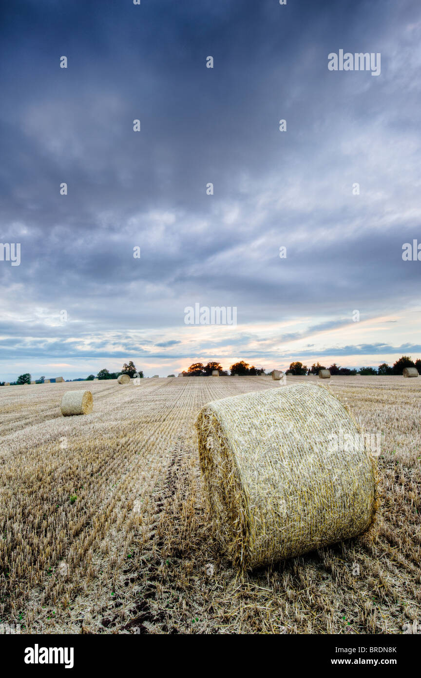 Bails Heu und Stoppeln in einem Feld bei Sonnenuntergang, Warwickshire, England, UK Stockfoto