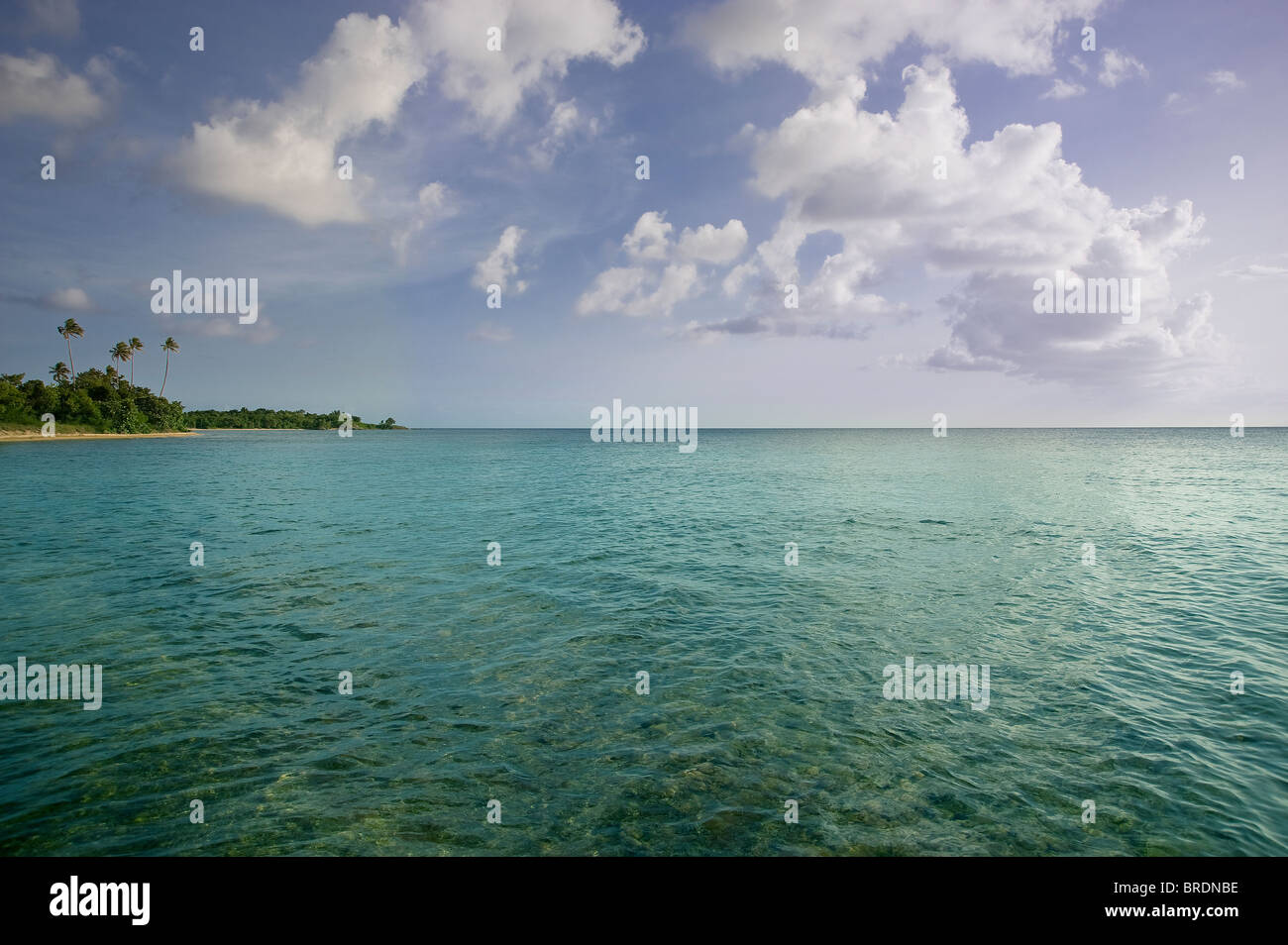 Lagune mit kleinen Insel Vieques Puerto Rico Stockfoto