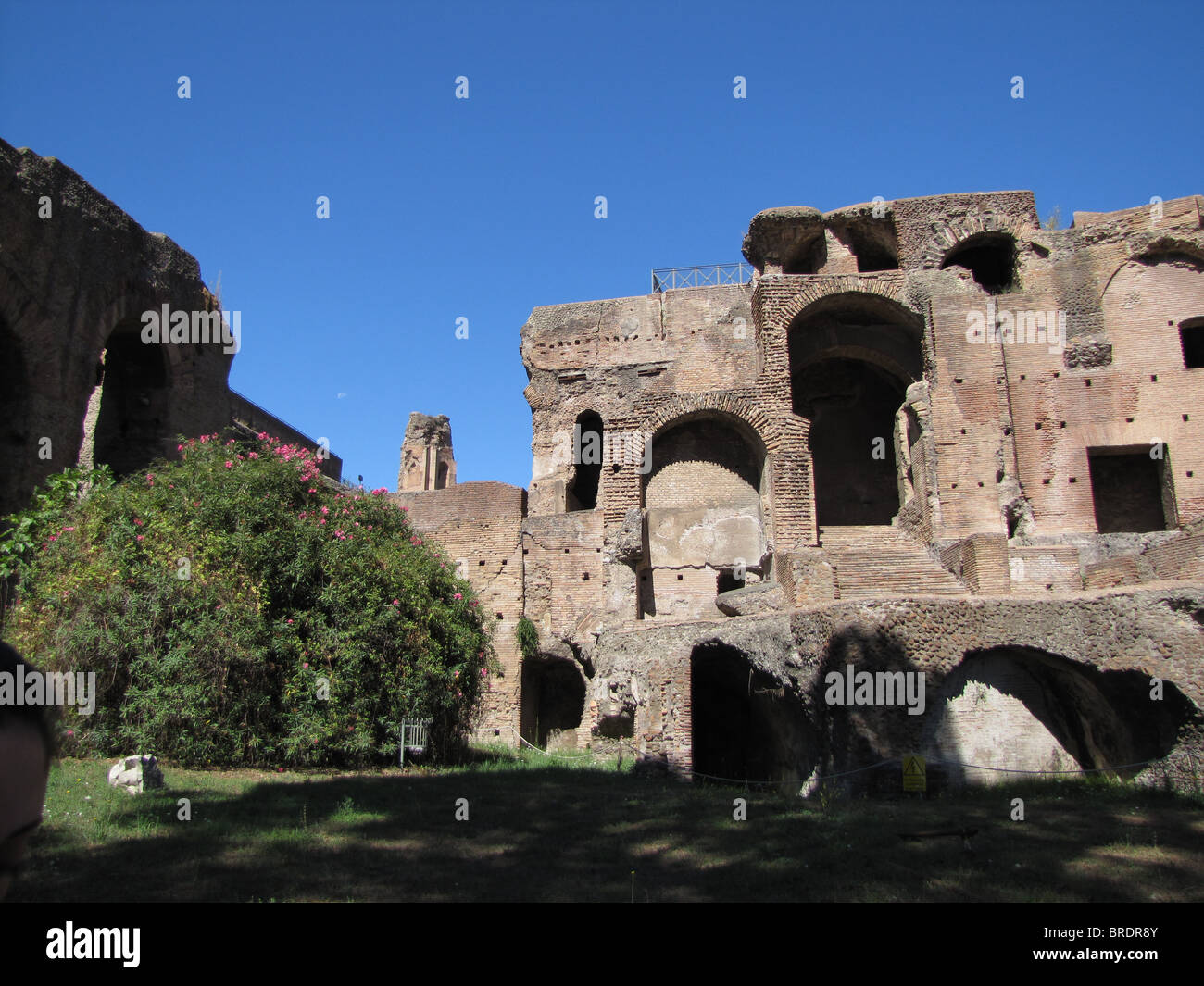 Italien, Rom, Palatino, Palatin Stockfoto