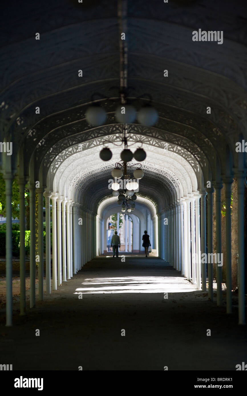 Überdachte Fußgängerzone Arkade mit den Park Springs in Vichy (Frankreich). Galerie découverte du Parc des Quellen de Vichy (Frankreich). Stockfoto