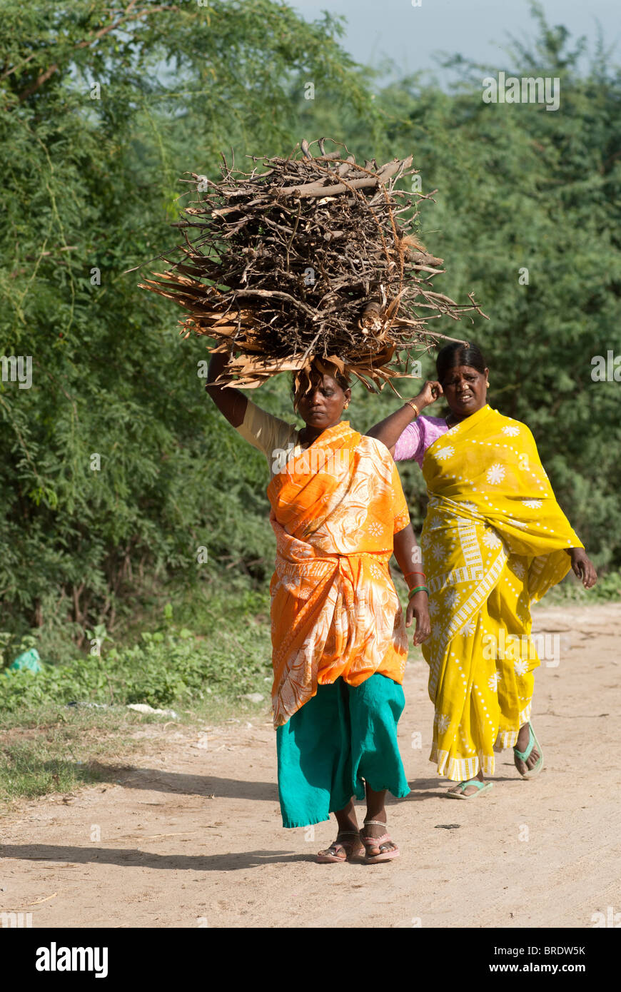 Eine Frau, die Feuerholz auf Kopf, Tamil Nadu, Indien. Stockfoto