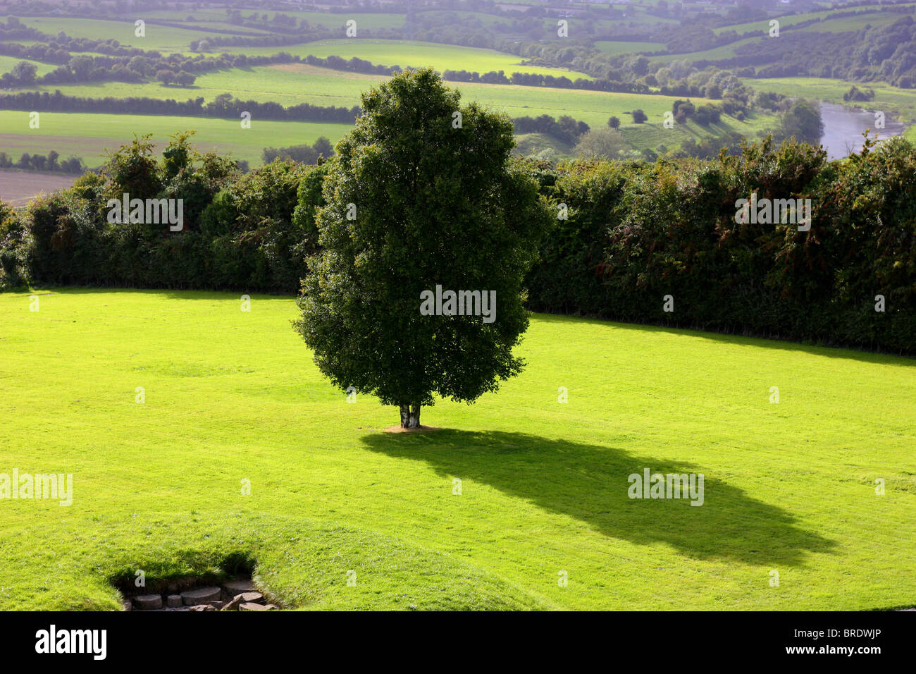 Grüne Landschaft, Blick vom Fluss, Schatten, Baum, Knowth, Irland Stockfoto