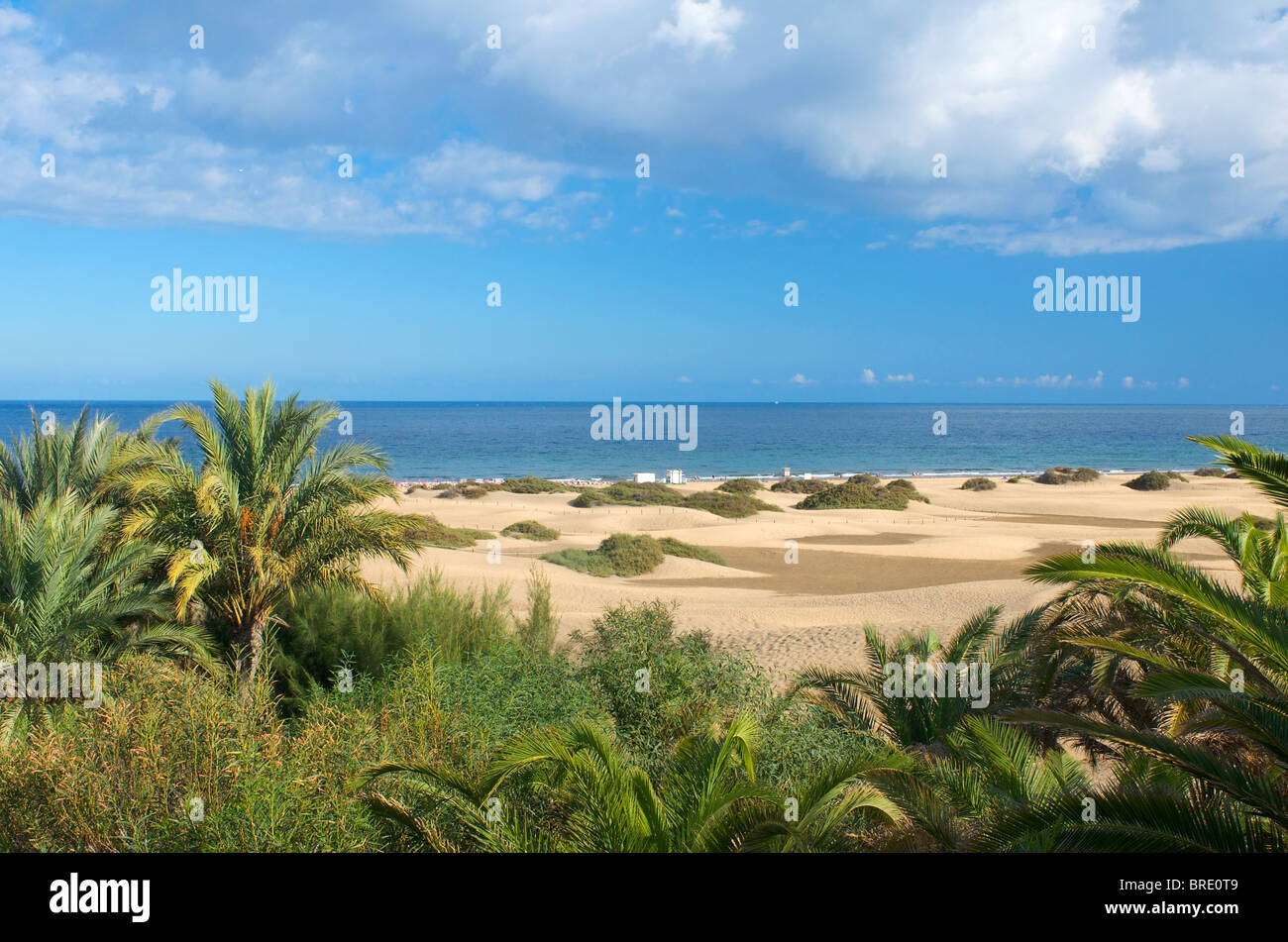 Dünen von Maspalomas, Gran Canaria, Kanarische Inseln, Spanien Stockfoto