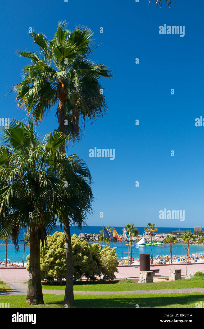 Playa Amadores in Puerto Rico, Gran Canaria, Kanarische Inseln, Spanien Stockfoto