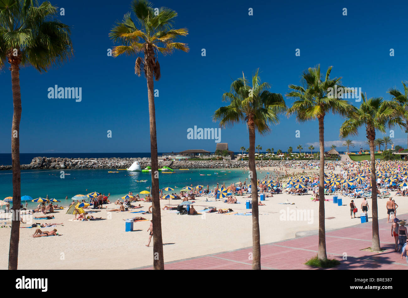 Playa Amadores in Puerto Rico, Gran Canaria, Kanarische Inseln, Spanien Stockfoto