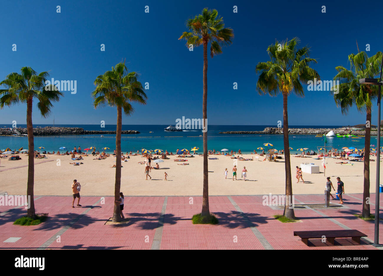 Playa Amadores in Puerto Rico, Gran Canaria, Kanarische Inseln, Spanien Stockfoto