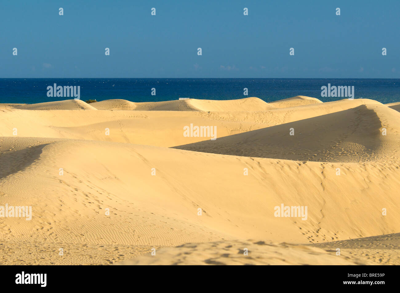 Dünen von Maspalomas, Gran Canaria, Kanarische Inseln, Spanien Stockfoto