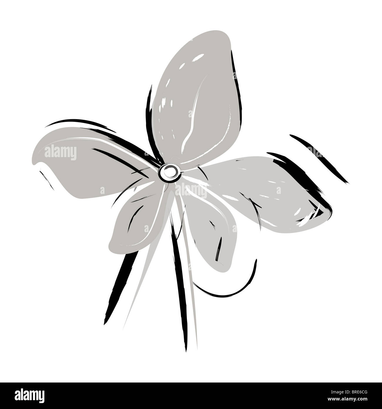 Schwarzweiß, Graustufen-Vektor, eins, einzelne offene Blüte in voller Blüte Illustration, weißer Hintergrund Stockfoto