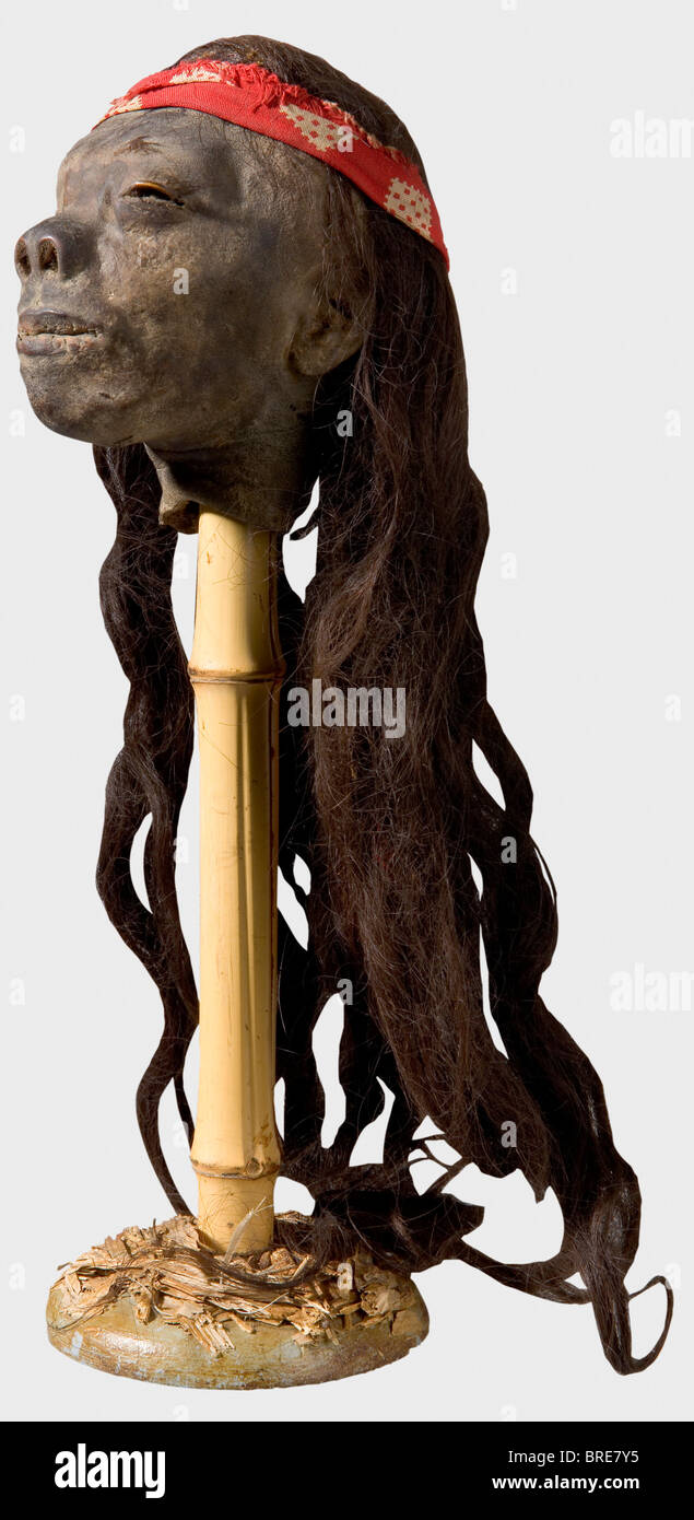 Ein Tsanta (so genannter "versunkener Kopf"), Amazonasregion, ca. 1900 Langes, dunkelbraunes Haar. Die Augen sind nicht genäht. Mund mit Näheindrücken. Eine lange Vorbereitungsnaht auf der Rückseite des Kopfes, rot gemustertes Kopfband (Ersatz?). Kopfhöhe 13 cm. Sehr gut erhaltenes Stück und eindrucksvolle Belege für die Praxis der Kopfjagd unter den Indianerstämmen des Amazonasgebietes, die bis in die 1950er Jahre andauerte: Historisch, historisch, 1900er, 20. Jahrhundert, 19. Jahrhundert, Amerikaner, Amerika, Völkerkunde, Ethnie, Ethnie, Objekt, Objekte, Clipping, cu, Stockfoto