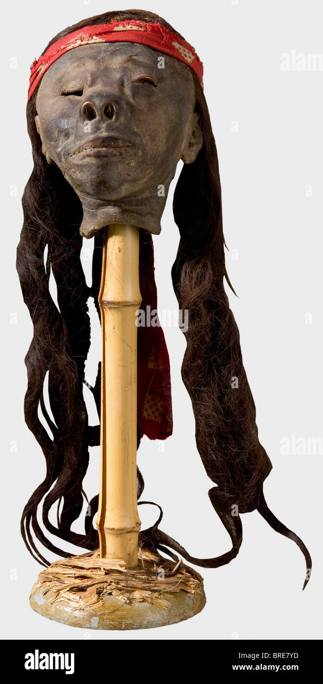 Ein Tsanta (so genannter "versunkener Kopf"), Amazonasregion, ca. 1900 Langes, dunkelbraunes Haar. Die Augen sind nicht genäht. Mund mit Näheindrücken. Eine lange Vorbereitungsnaht auf der Rückseite des Kopfes, rot gemustertes Kopfband (Ersatz?). Kopfhöhe 13 cm. Sehr gut erhaltenes Stück und eindrucksvolle Belege für die Praxis der Kopfjagd unter den Indianerstämmen des Amazonasgebietes, die bis in die 1950er Jahre andauerte: Historisch, historisch, 1900er, 20. Jahrhundert, 19. Jahrhundert, Amerikaner, Amerika, Völkerkunde, Ethnie, Ethnie, Objekt, Objekte, Clipping, cu, Stockfoto