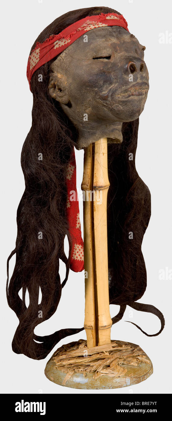 Ein Tsanta (so genannter "versunkener Kopf"), Amazonasregion, ca. 1900 Langes, dunkelbraunes Haar. Die Augen sind nicht genäht. Mund mit Näheindrücken. Eine lange Vorbereitungsnaht auf der Rückseite des Kopfes, rot gemustertes Kopfband (Ersatz?). Kopfhöhe 13 cm. Sehr gut erhaltenes Stück und eindrucksvolle Belege für die Praxis der Kopfjagd unter den Indianerstämmen des Amazonasgebietes, die bis in die 1950er Jahre andauerte: Historisch, historisch, 1900er, 20. Jahrhundert, 19. Jahrhundert, Amerikaner, Amerika, Völkerkunde, Ethnie, Ethnie, Objekt, Objekte, Clipping, cu, Stockfoto