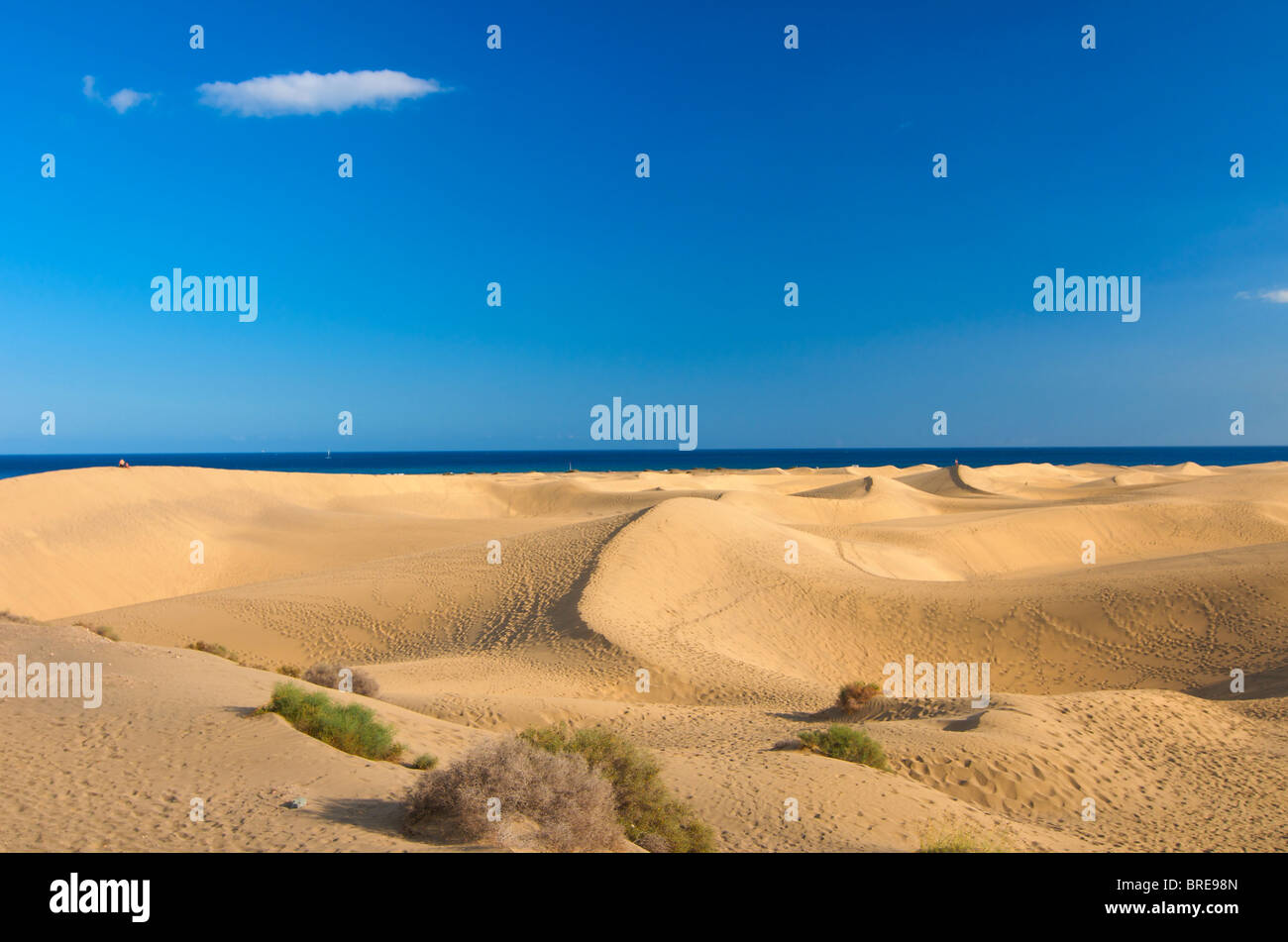 Dünen von Maspalomas, Gran Canaria, Kanarische Inseln, Spanien Stockfoto