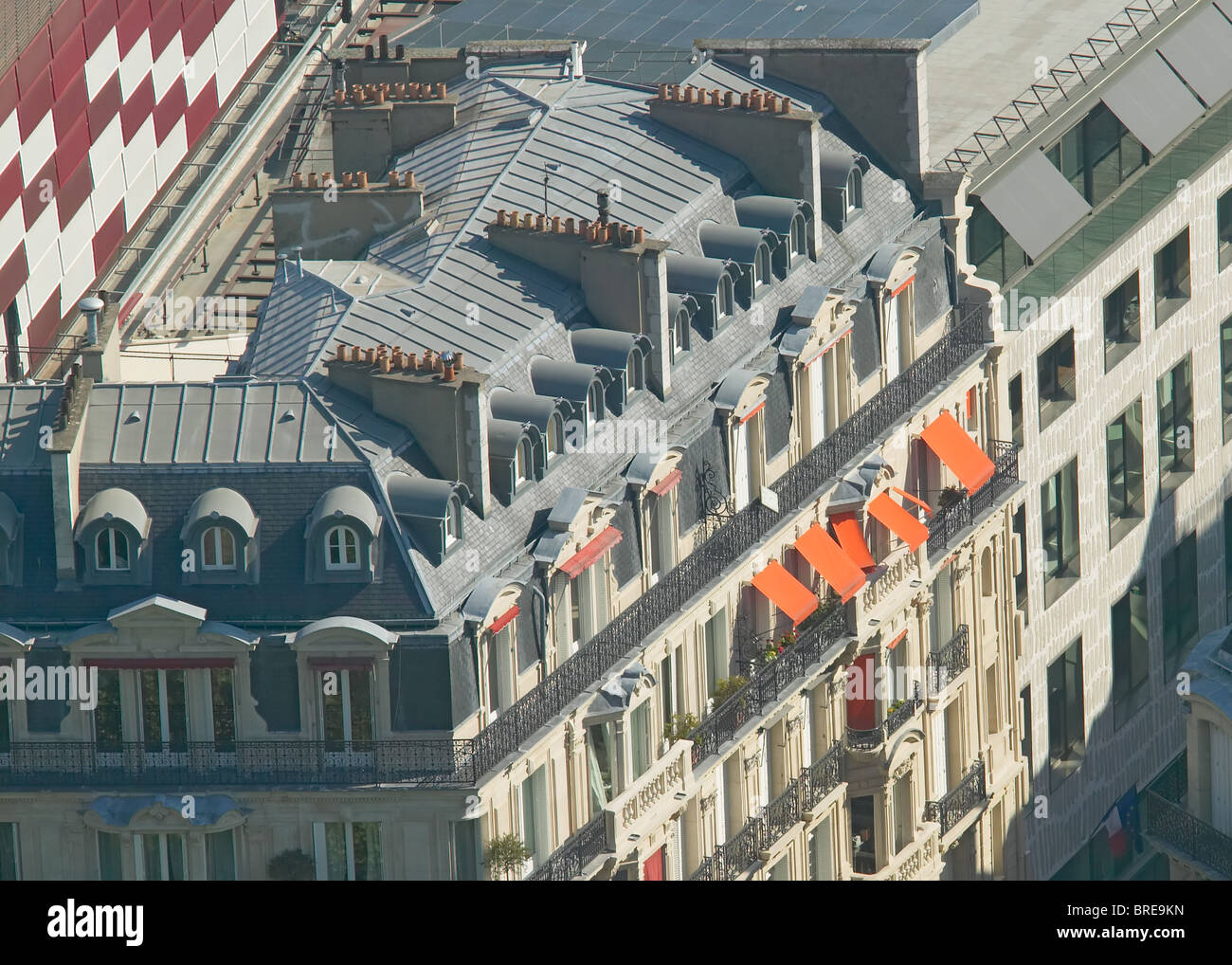 Vogelperspektive des Dach-Detail des Musée du Quai Branly in Paris, Frankreich Stockfoto