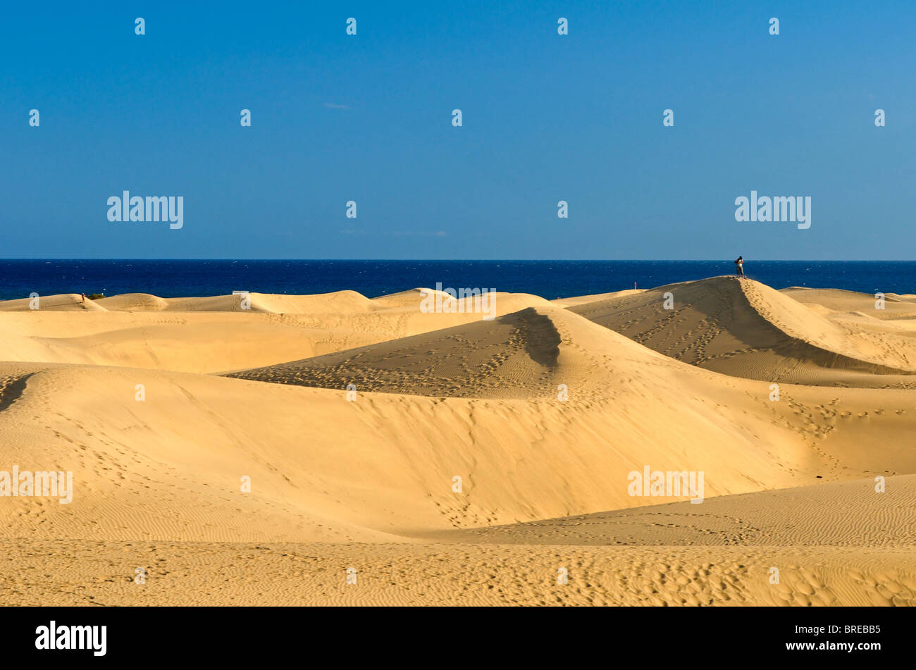 Dünen von Maspalomas, Gran Canaria, Kanarische Inseln, Spanien Stockfoto
