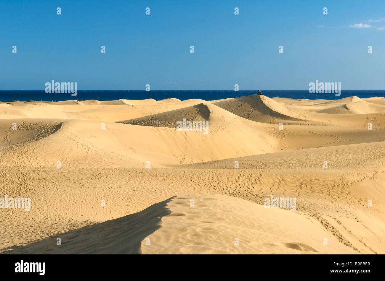 Dünen von Maspalomas, Gran Canaria, Kanarische Inseln, Spanien Stockfoto