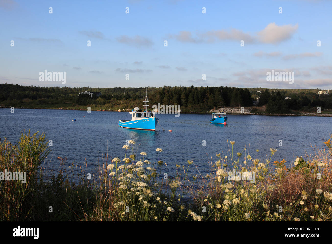 Ankern, Angeln, Boot und Wilde Blumen am unteren Prospect, Atlantik, Kanada, Nordamerika. Foto: Willy Matheisl Stockfoto